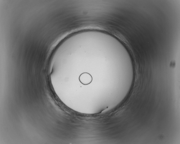 X0000111510436200908251117