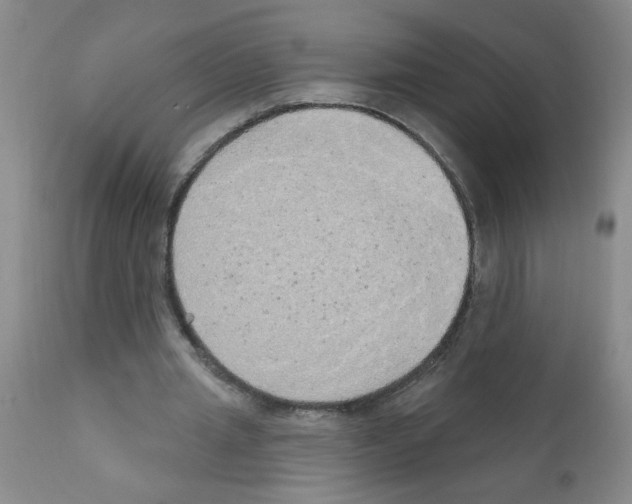 X0000111510437200908251117