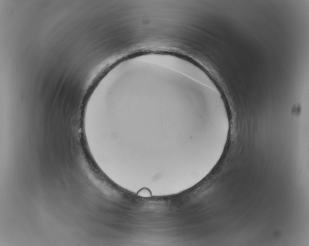 X0000111510438200908251117