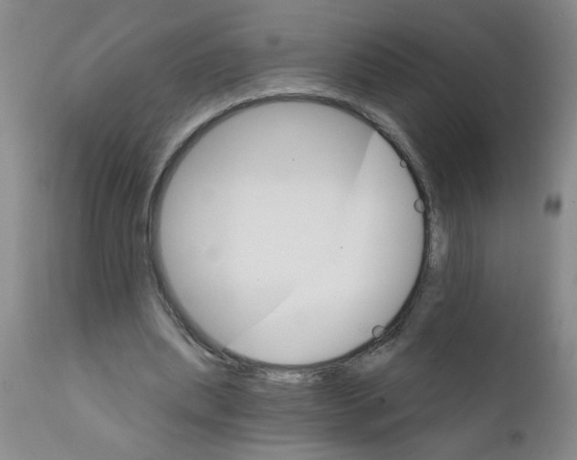X0000111510439200908251117