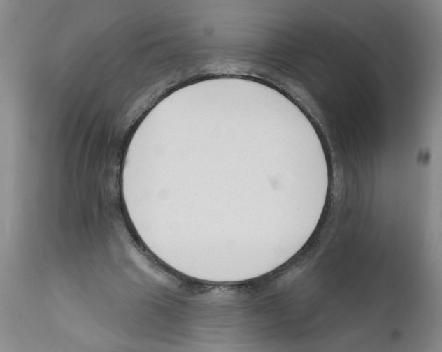 X0000111510441200908251117