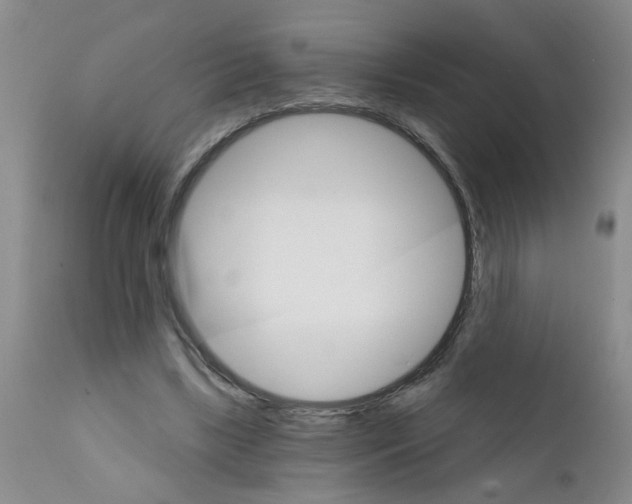 X0000111510443200908251117