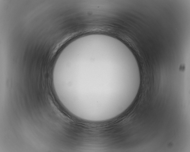 X0000111510444200908251117