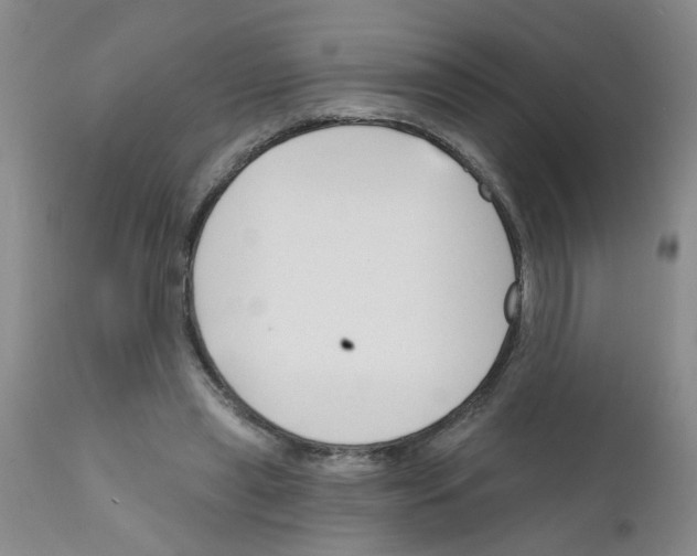 X0000111510445200908251117