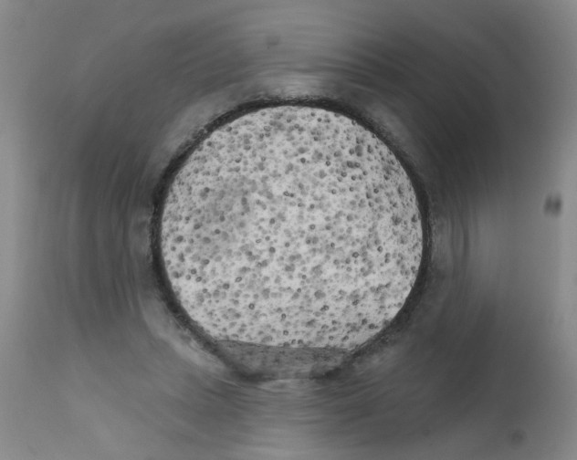 X0000111510447200908251117