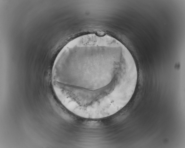 X0000111510449200908251117
