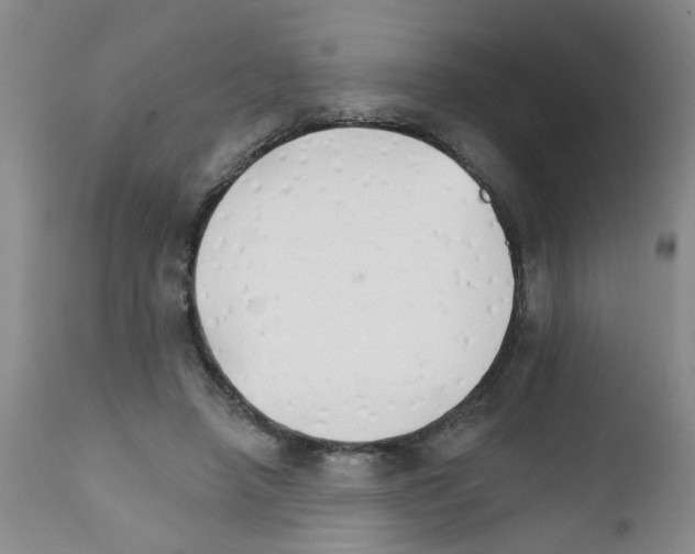 X0000111510450200908251117