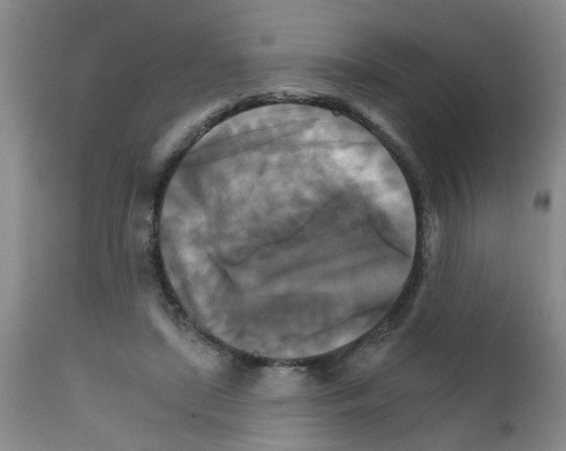 X0000111510451200908251117
