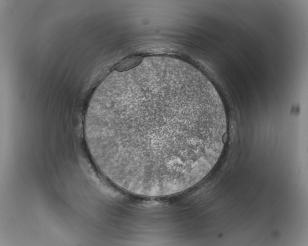 X0000111510453200908251117