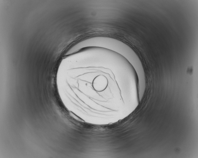 X0000111510456200908251117