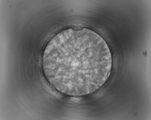 X0000111510457200908251117