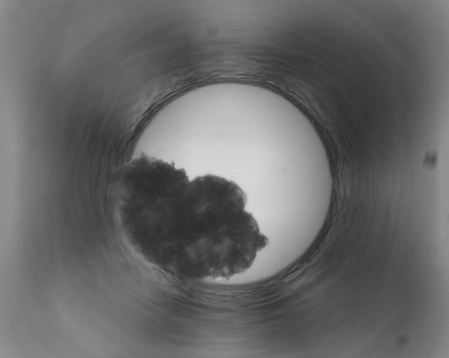 X0000111510458200908251117