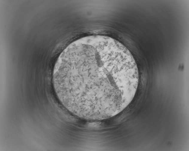 X0000111510461200908251117