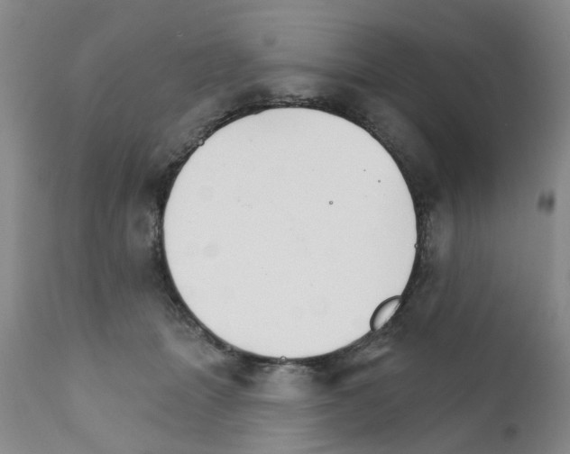 X0000111510463200908251117