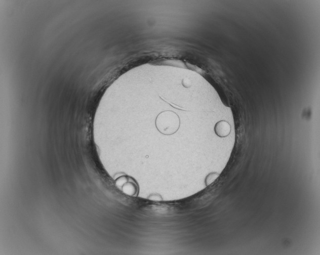 X0000111510464200908251117