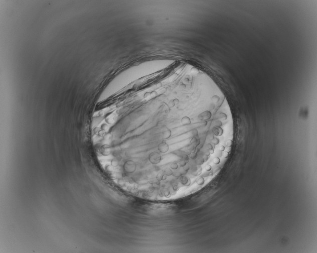 X0000111510465200908251117