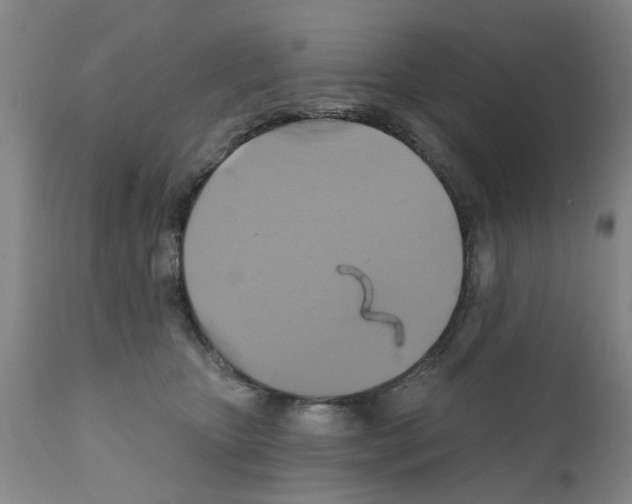 X0000111510467200908251117