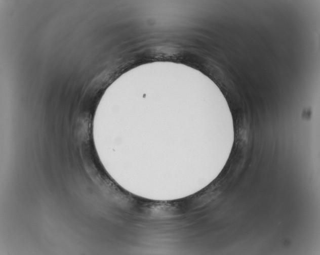 X0000111510468200908251117
