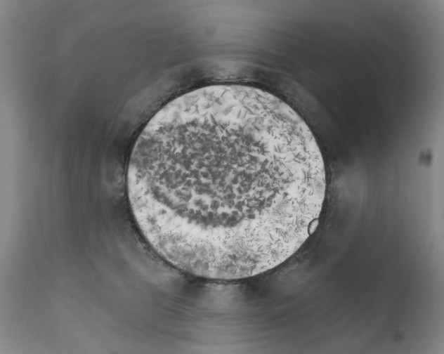 X0000111510469200908251117