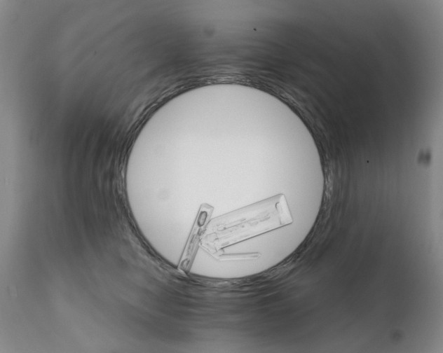 X0000111510470200908251117