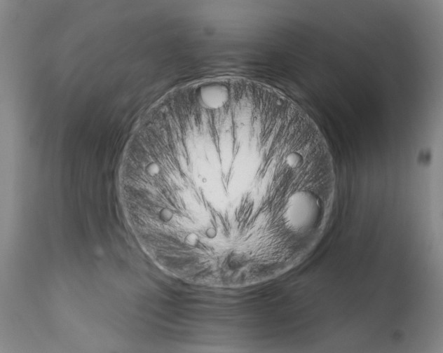 X0000111510471200908251117