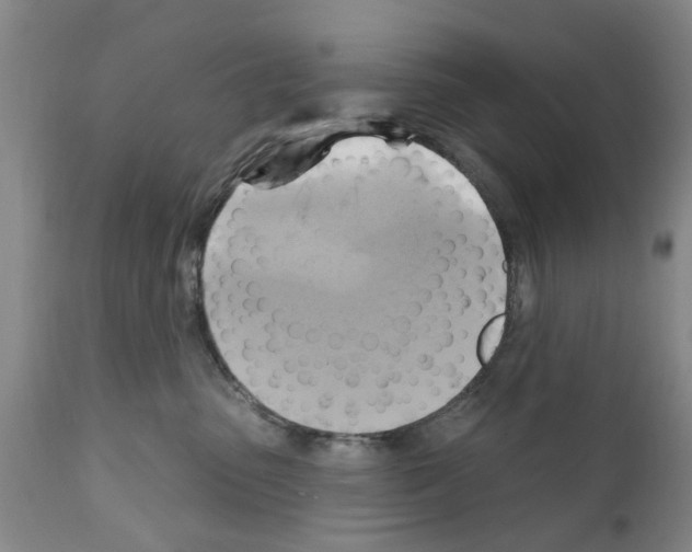 X0000111510475200908251117