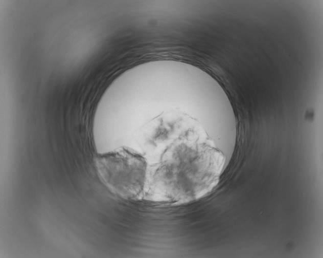 X0000111510477200908251117