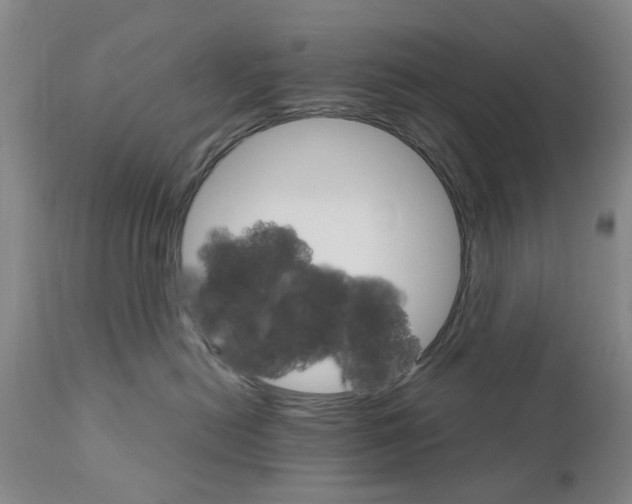 X0000111510478200908251117
