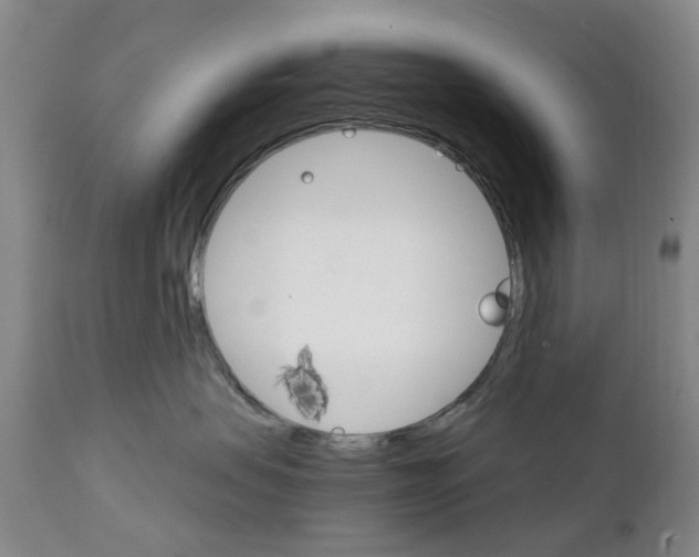 X0000111510479200908251117