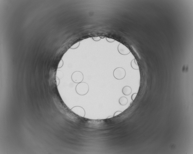 X0000111510480200908251117