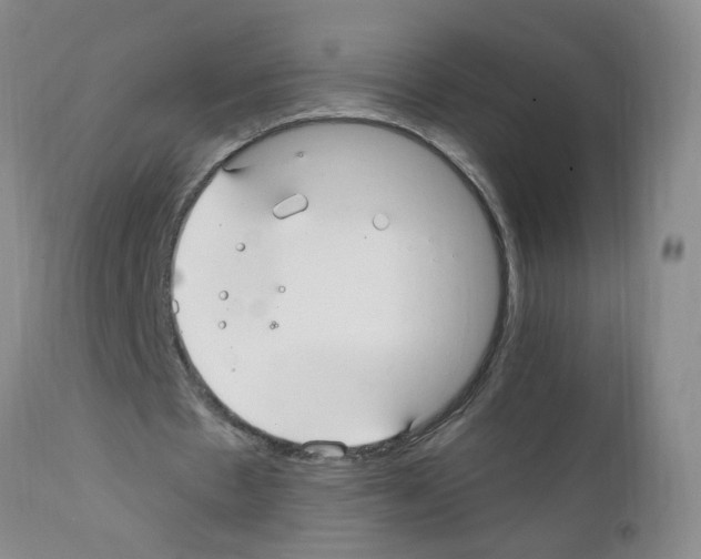 X0000111510481200908251117