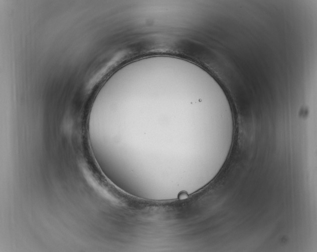 X0000111510482200908251116