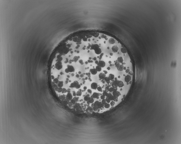 X0000111510483200908251116