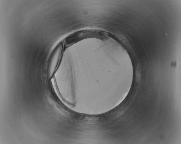 X0000111510484200908251116