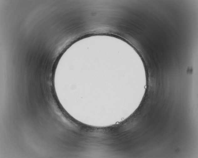 X0000111510485200908251116