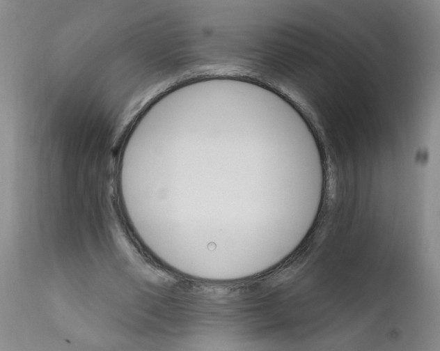X0000111510486200908251116