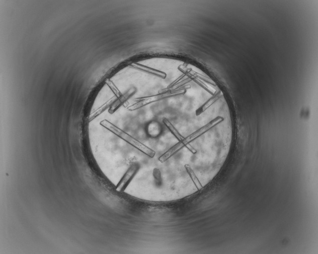 X0000111510487200908251116