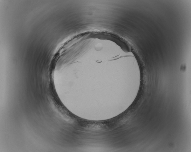 X0000111510488200908251116