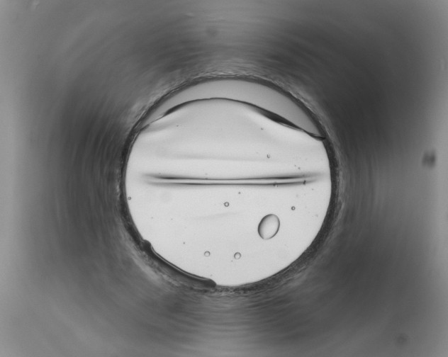 X0000111510489200908251116