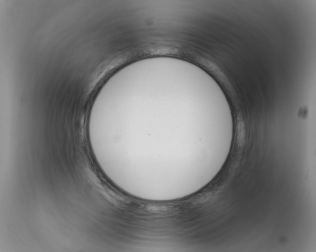 X0000111510490200908251116