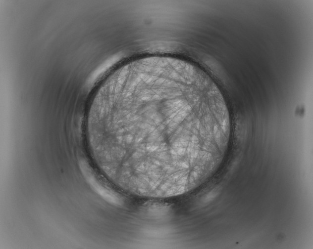 X0000111510491200908251116