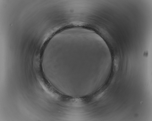 X0000111510492200908251116