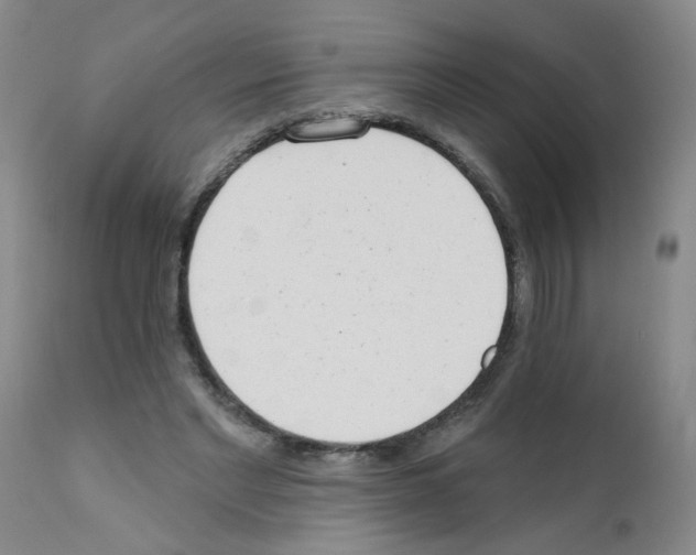 X0000111510493200908251116