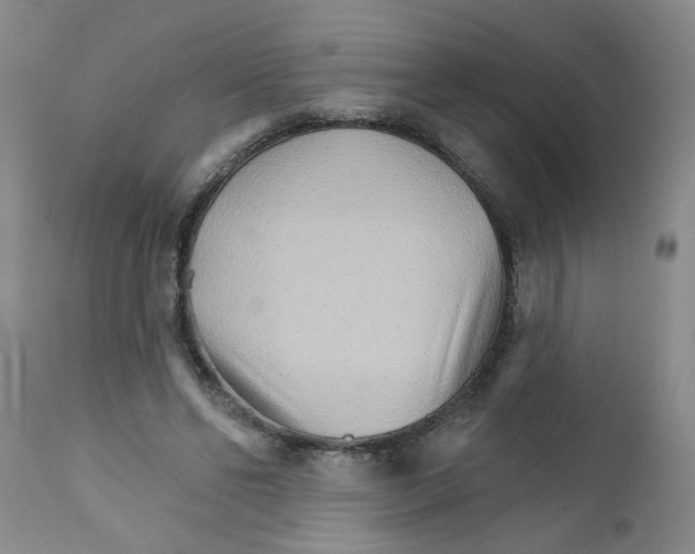 X0000111510494200908251116