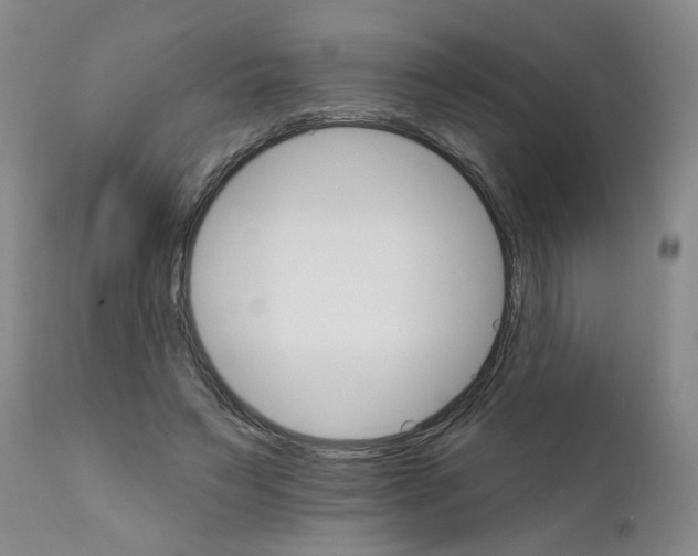 X0000111510495200908251116