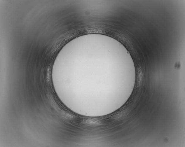 X0000111510498200908251116