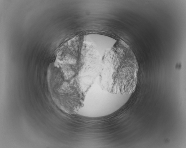 X0000111510499200908251116