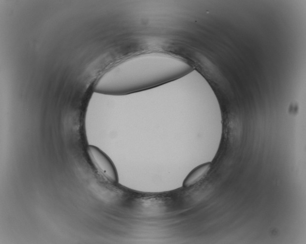 X0000111510500200908251116