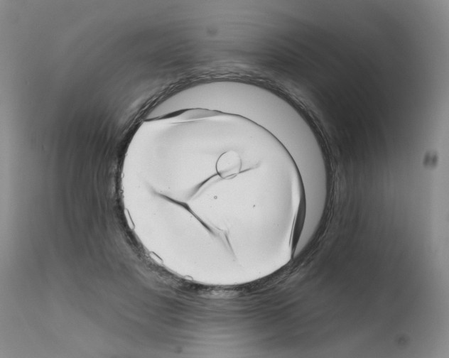 X0000111510501200908251116