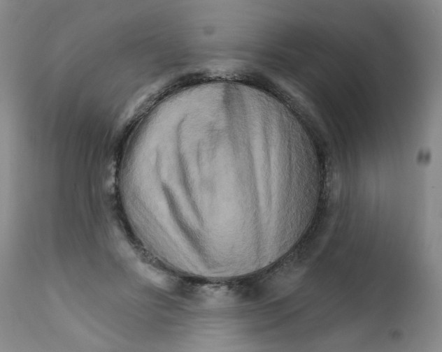 X0000111510502200908251116
